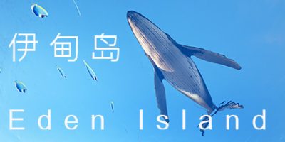 伊甸岛|官方中文|Eden IslandV